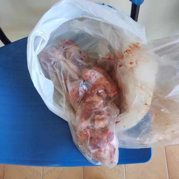 Homem é preso após invadir casa do tio, furtar sacola com carne e devolver à vítima, no Piauí
