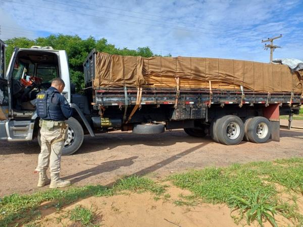 PRF apreende 26,20 m³ de madeira irregular durante fiscalização na BR-316, no Piauí