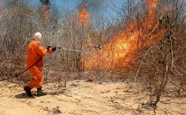 Órgãos intensificam ações para evitar queimadas e orientar população sobre riscos de incêndios