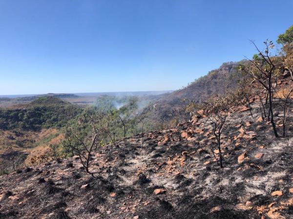 Incêndio na Serra de Santo Antônio traz prejuízos à fauna e flora local, diz guia