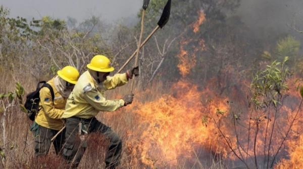 Semarh entrega novos equipamentos de EPIs e material de combate a incêndio florestal a 11 municípios