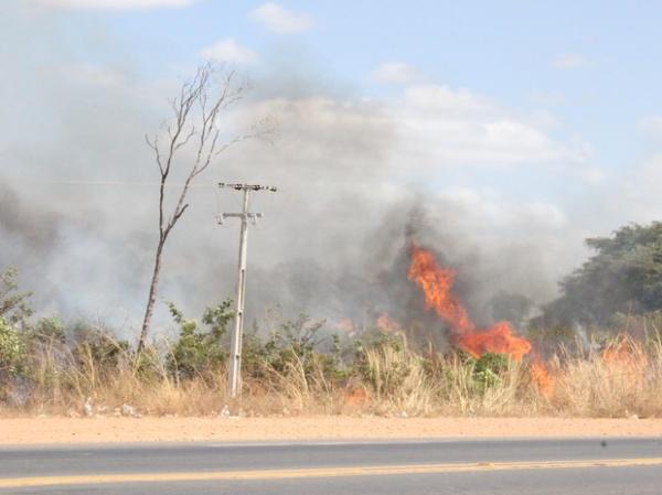 Bombeiros atendem média de 10 incêndios por dia em Teresina
