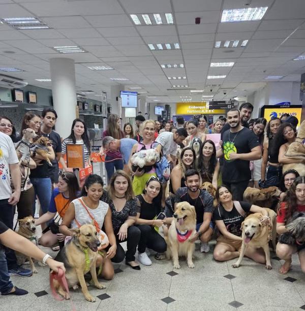 Manifestantes protestam em mem&oacute;ria de golden retriever Joca no aeroporto de Teresina.(Imagem:Reprodu&ccedil;&atilde;o)