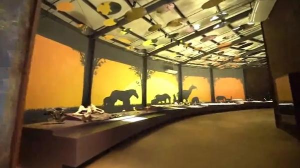  Museu da Natureza, no Piau&iacute;.(Imagem:Reprodu&ccedil;&atilde;o /TV Clube )