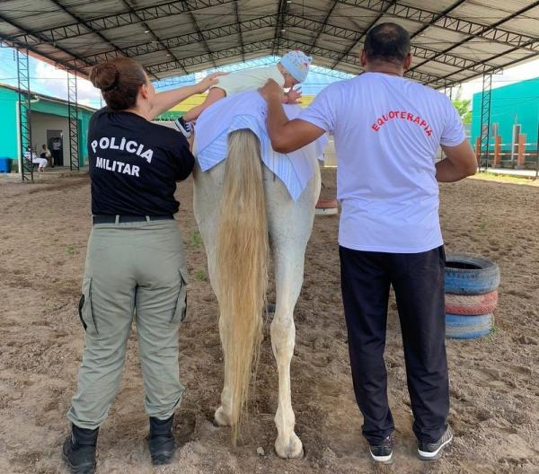  Servi&ccedil;o de Equoterapia completa 22 anos no Piau&iacute; e ser&aacute; expandido para mais um munic&iacute;pio(Imagem:Divulga&ccedil;&atilde;o)