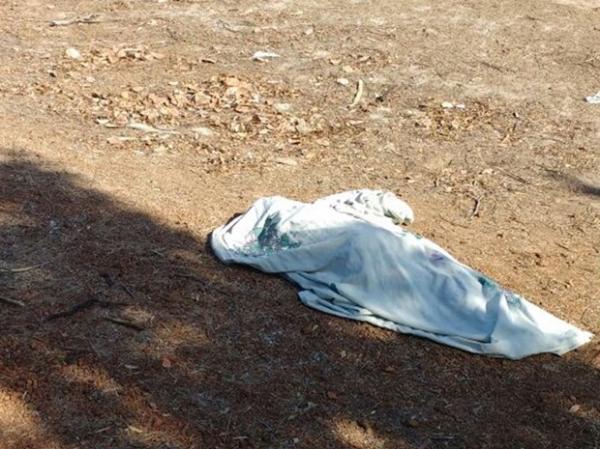 Criança vai deixar avó na parada de ônibus e morre atropelada na PI-331