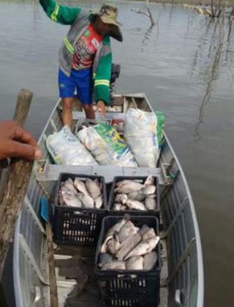 Cerca de 17 toneladas de peixe mortos são encontrados em barragem do Piauí
