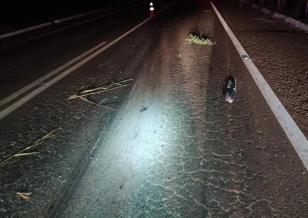 Motociclista morre após colisão frontal com caminhão na BR-316 no Sul do PI