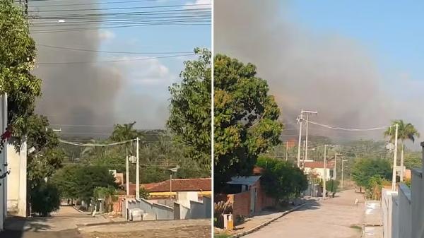 Incêndio de grande proporção atinge floresta de cocais no Norte do Piauí; segundo caso na semana