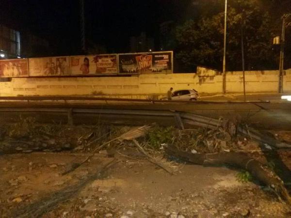 Teresina amanhece sem árvores nos canteiros da avenida Frei Serafim