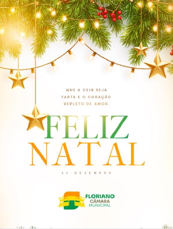 Câmara Municipal de Floriano divulga mensagem de Natal aos florianenses.(Imagem:Reprodução/Instagram)