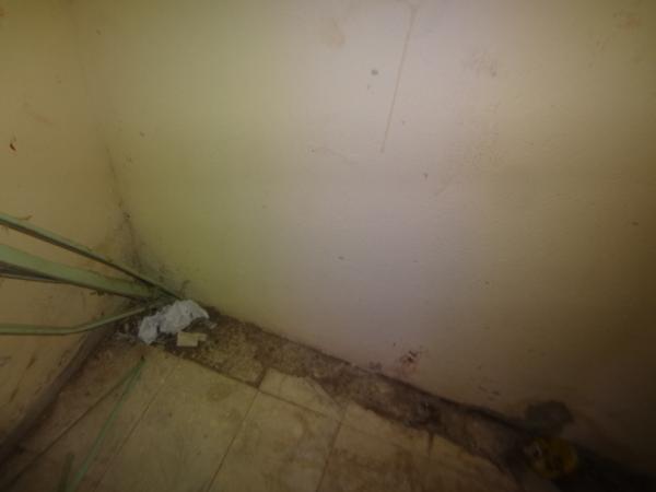 Prefeitura de Bar&atilde;o de Graja&uacute; &eacute; deixada sucateada.(Imagem:FlorianoNews)