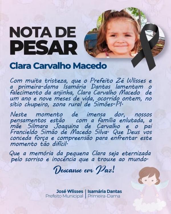 Beb&ecirc; morre afogada ao cair em barreiro no quintal de casa no PI.(Imagem:Prefeitura de Sim&otilde;es)