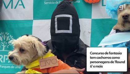 Concurso canino de fantasias em Nova York mostra o espírito do Halloween