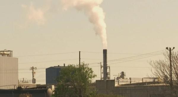 COP29 fecha acordo para dar início ao comércio global de créditos de carbono