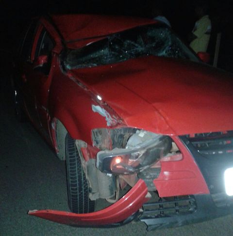 Veículo colide com animal na PI-05 em Floriano