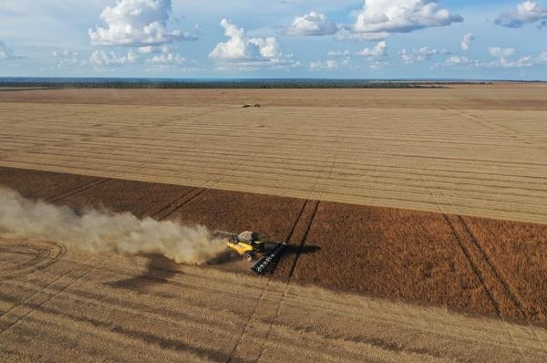 A produ&ccedil;&atilde;o conjunta de soja e milho alcan&ccedil;ar&aacute; cerca de 6,4 milh&otilde;es de toneladas representando 95,5% do total da produ&ccedil;&atilde;o de gr&atilde;os do Piau&iacute;.(Imagem:Divulga&ccedil;&atilde;o)