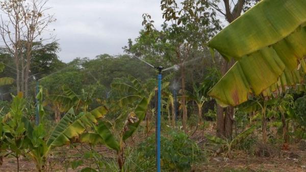 Sistemas de irrigação distribuídos pela SAF beneficiam mais de 2,6 mil famílias de agricultores