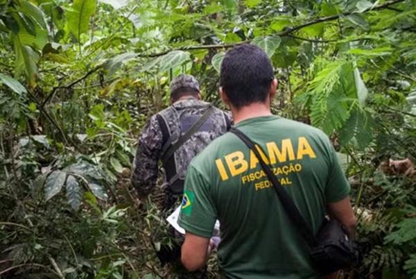 Ibama publica edital de concurso com 460 vagas e salário de até R$ 9,9 mil; veja como participar