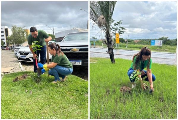 Projeto Floriano Mais Verde realiza plantios para conservação ambiental.(Imagem:Reprodução/Instagram)
