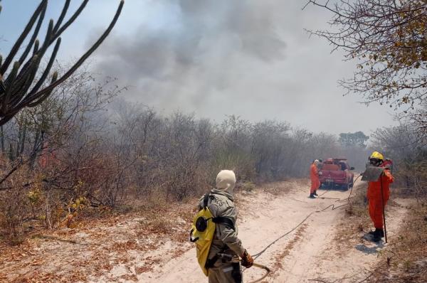 Canto do Buriti é a cidade do Piauí com mais registros de queimadas nos últimos três dias, diz Semar