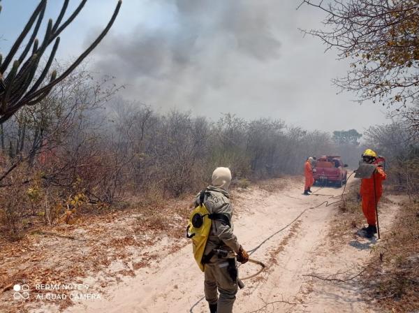 Incêndios atingem áreas de vegetação em mais cidades do Piauí