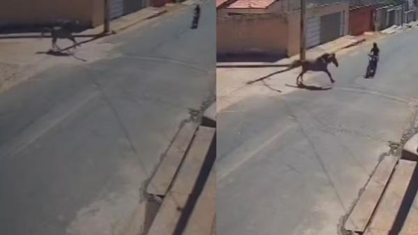 Dono de cavalo que causou morte de jovem em acidente com moto deve responder por homicídio