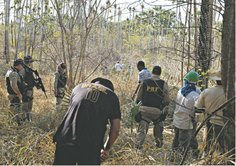 No PI, 156 homens são resgatados em situação de trabalho escravo