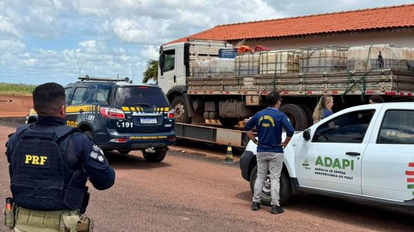 Os peixes eram transportados em nove contêineres destinados originalmente ao transporte de produtos perigosos.(Imagem:Ascom Adapi)