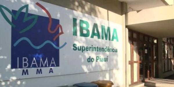 Cortes de verbas de 40% no Ibama preocupa para o combate a incêndios no Piauí