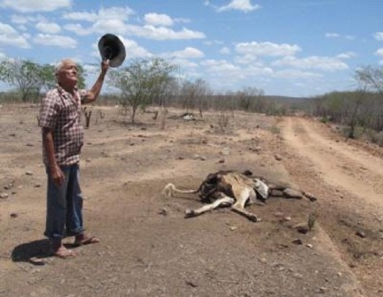 União reconhece situação de emergência em 117 cidades do Piauí