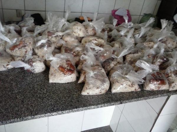 Sem pratos, refeições de presos são servidas em sacos plásticos no Piauí