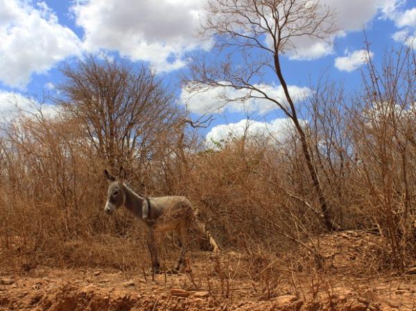 Adutora que resolveria problema da seca em 50 cidades não saiu do papel