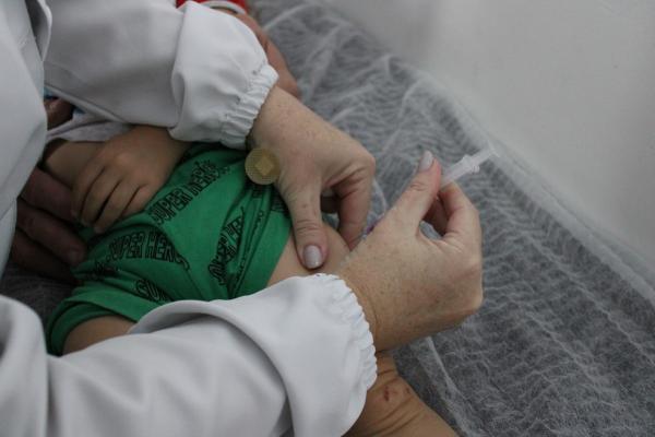 Piauí recebe 109 mil doses de vacina contra a gripe; veja quem será vacinado