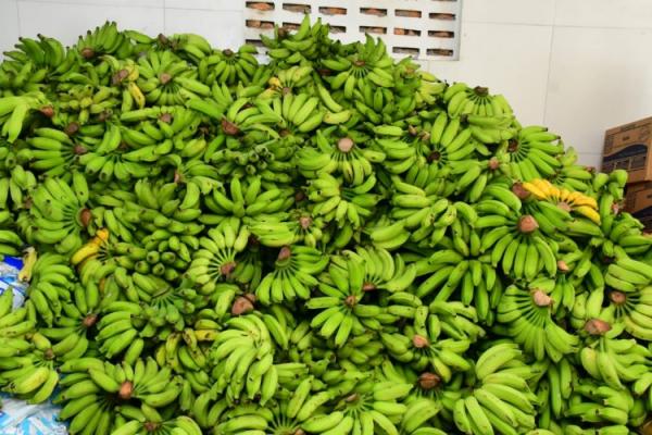 Barão de Grajaú recebe trator da CODEVASF para fortalecer a agricultura local(Imagem:Secom)