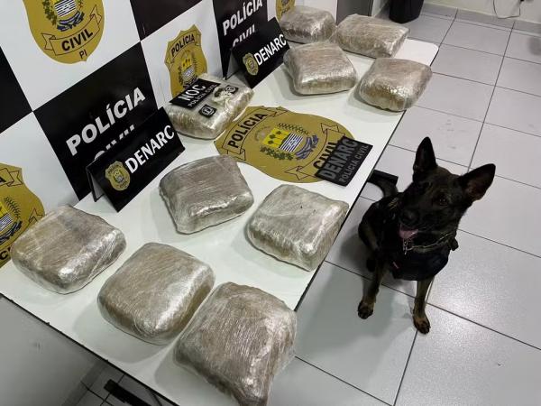 Garota de programa é presa com mais de 15 kg de "skunk" em ônibus que saiu de Fortaleza