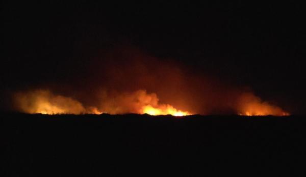 Corpo de Bombeiros do Piauí registra cerca de 900 ocorrências de combate a fogo em vegetação