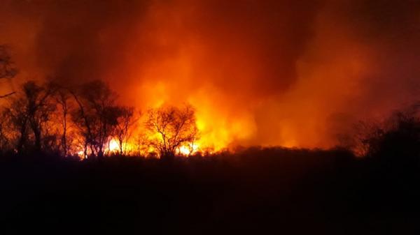 Após recorde de incêndios, portaria proíbe queima controlada em todo o Piauí