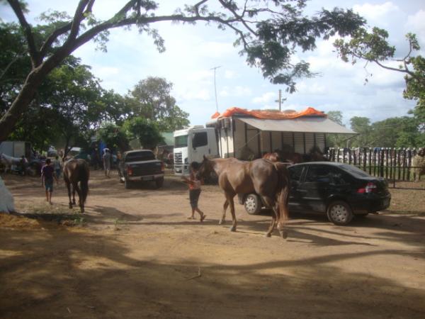 Vaquejada em Regenera&ccedil;&atilde;o - PI(Imagem:Reda&ccedil;ao)
