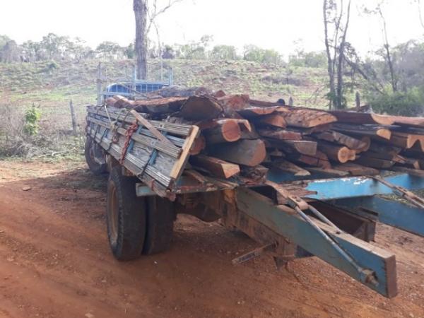 Caminhão é flagrado transportando madeira ilegal no Piauí