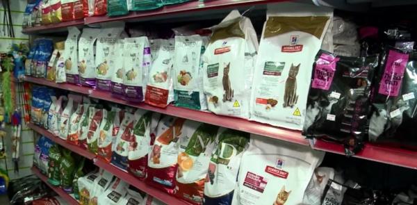 Em cl&iacute;nicas veterin&aacute;ria e pet shops existem materiais b&aacute;sicos para o cuidado com o felino. (Imagem:Reprodu&ccedil;&atilde;o / TV Clube)