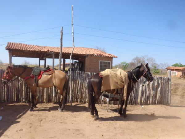 Festa do Vaqueiro na comunidade Mucait&aacute;.(Imagem:FlorianoNews)