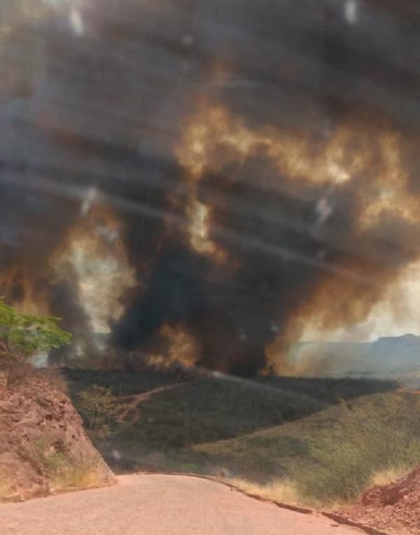 Incêndio de grande proporção atinge área de vegetação em Palmeira do Piauí