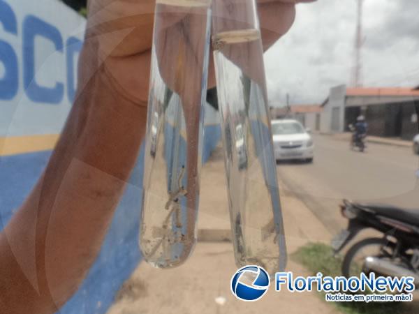 Larvas da dengue encontradas em resid&ecirc;ncias.(Imagem:FlorianoNews)