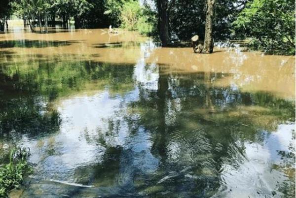 Água do rio Parnaíba sobe e invade Parque Encontro dos Rios.(Imagem:Divulgação/Instagram)