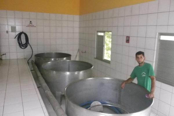 Rep&oacute;rter Amarelinho visita f&aacute;brica da cacha&ccedil;a Vale do Riach&atilde;o.(Imagem:FlorianoNews)