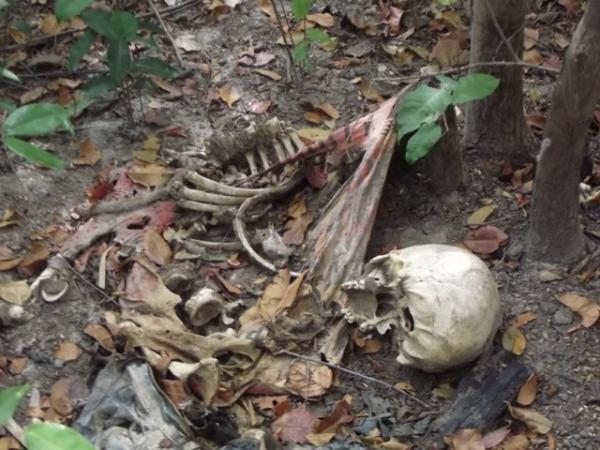 Ossada humana é encontrada por populares próximo a PI-113 e família reconhece vitima