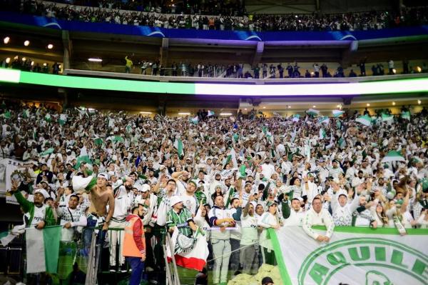 Torcida do Palmeiras em jogo contra o Atl&eacute;tico-MG.(Imagem:Marcos Ribolli )