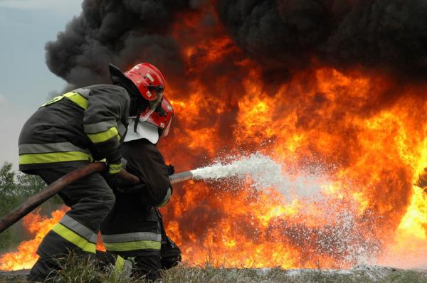 nc&ecirc;ndio pr&oacute;ximo ao aeroporto de Parna&iacute;ba destr&oacute;i 5 km de vegeta&ccedil;&atilde;o.(Imagem:Divulga&ccedil;&atilde;o)