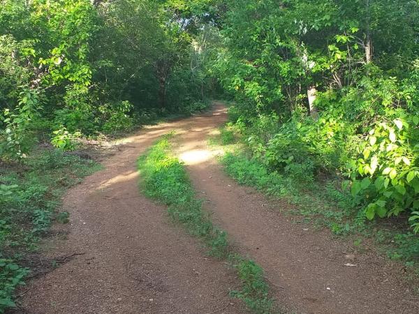 Motociclista é morto a tiros na PI-214 e passageiro foge com veículo no Norte do Piauí
